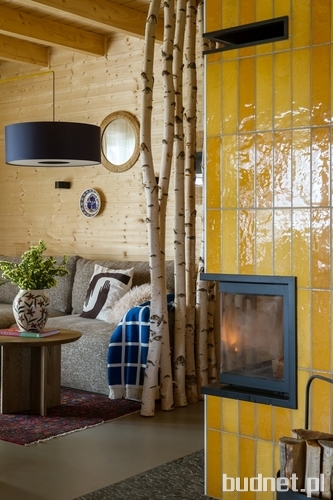 Projekt i realizacja: Patrycja Majewicz